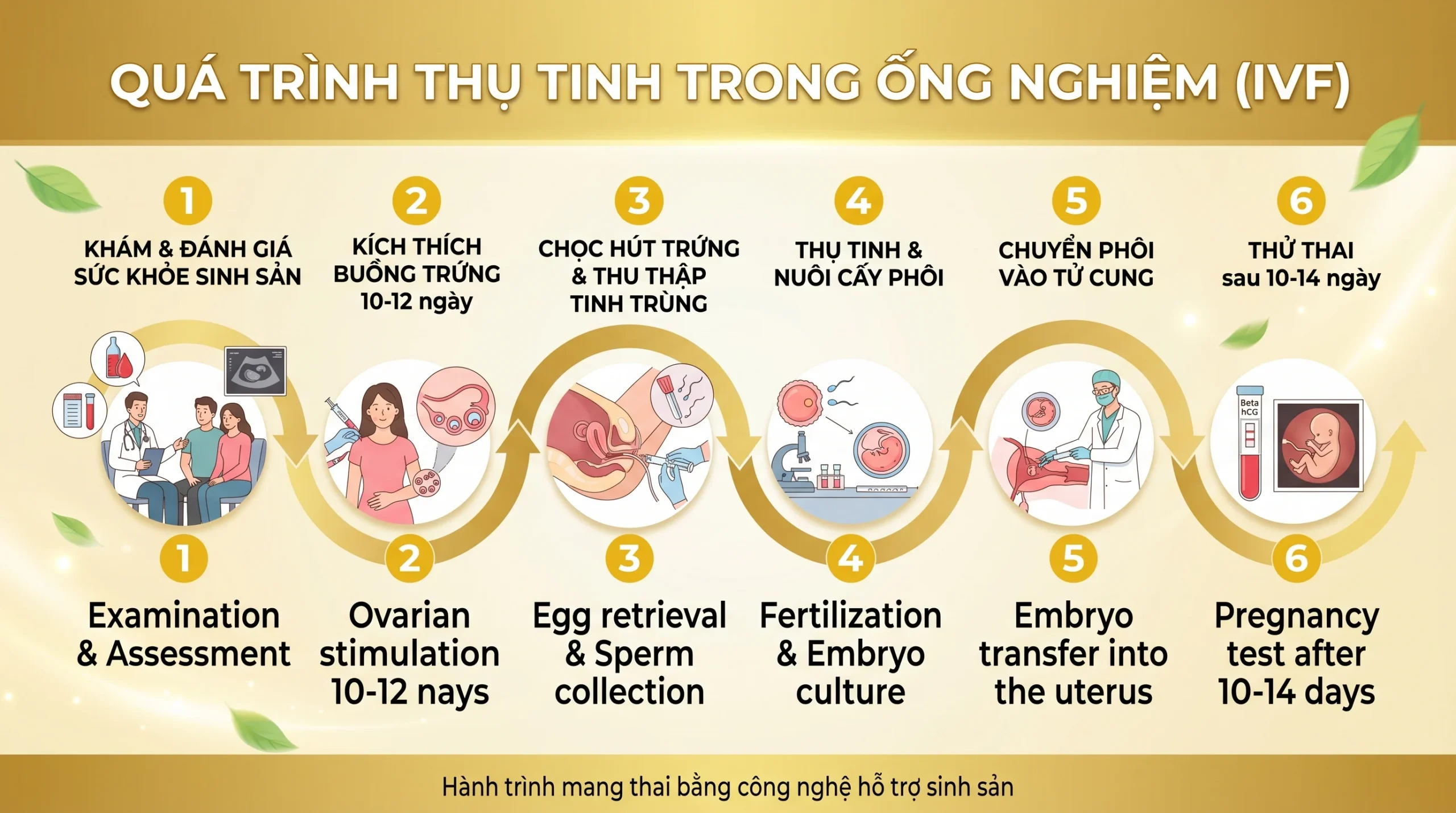 Quy-Trinh-thuc-hien-IVF